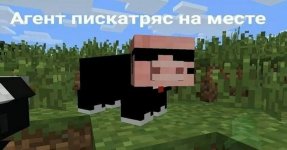 IMG_5421.jpeg
