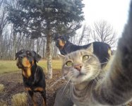 Selfie2.jpg