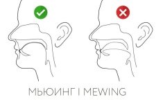 мьюнг.jpg