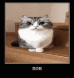 1712341716416.png
