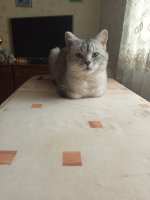 1000001693.jpg 1000001693.jpg