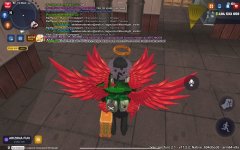 IMG_1377.jpeg