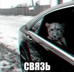 136e59a884672041de668a026f869e36.jpg