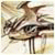 agrohimrxh