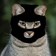 Matteo_Fox ??