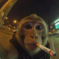 Dima_moloev