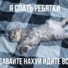Liptton_Sladkiy