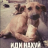 Vadim_Santy