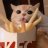 David_Adminsa1
